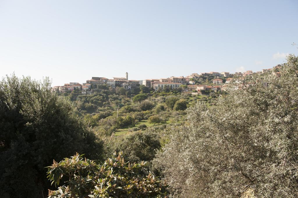 Casa Lippi Daire Casal Velino Dış mekan fotoğraf