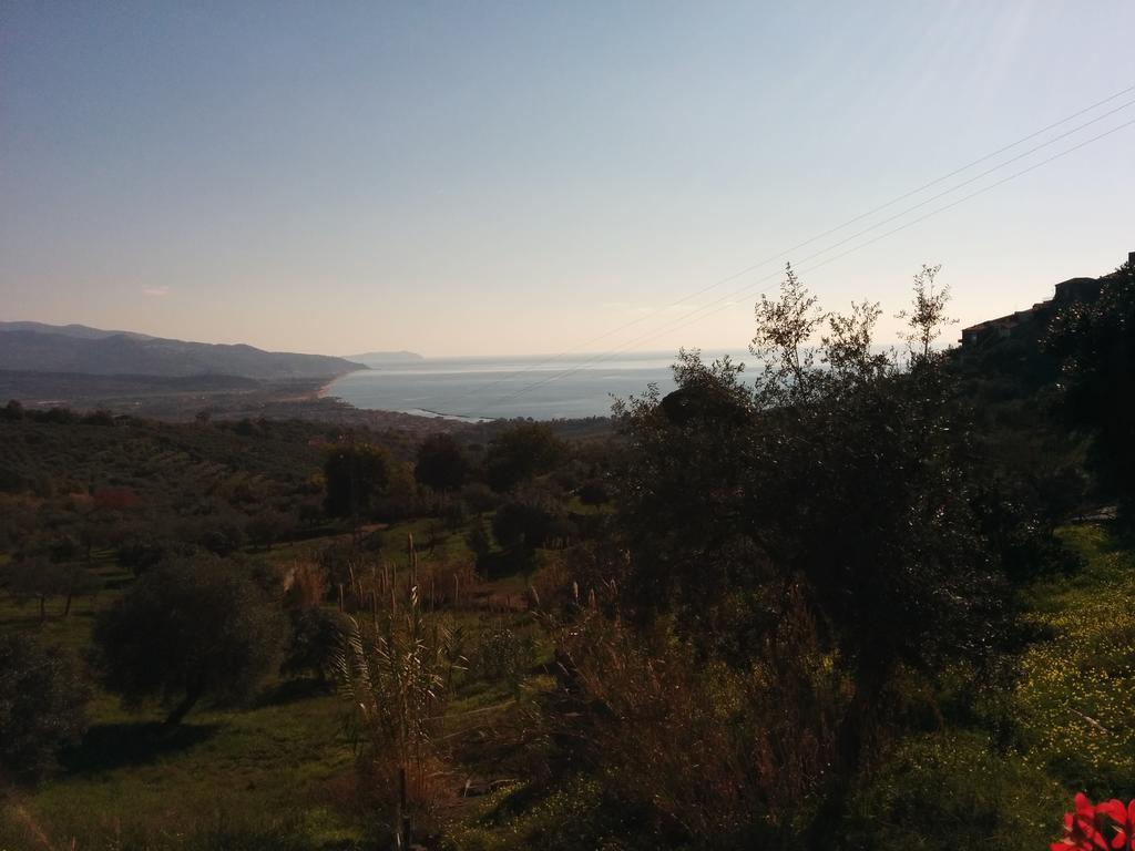 Casa Lippi Daire Casal Velino Dış mekan fotoğraf
